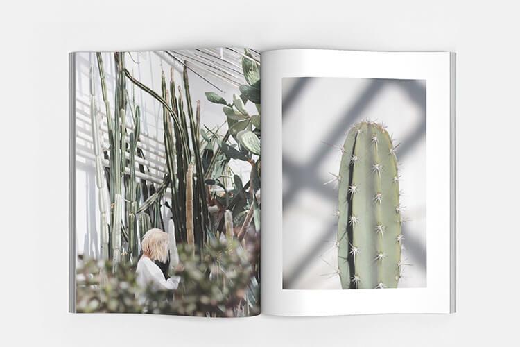 portfolio